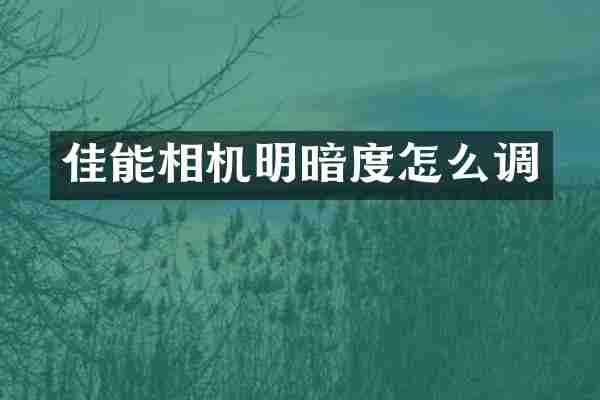 佳能相机明暗度怎么调