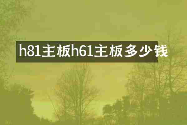 h81主板h61主板多少钱