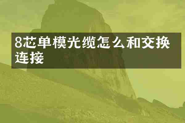 8芯单模光缆怎么和交换机连接