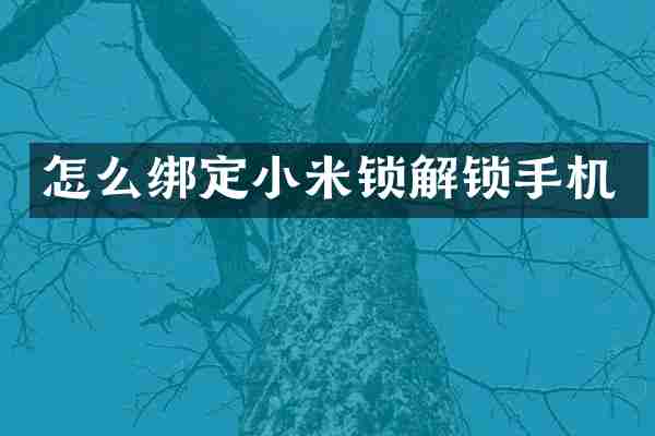 怎么绑定小米锁解锁手机