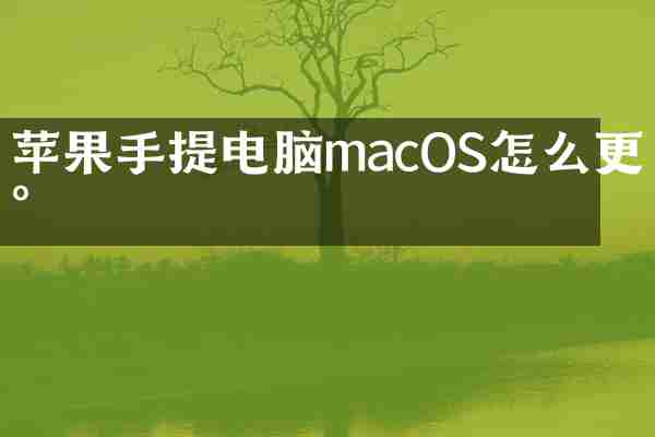 苹果手提电脑macOS怎么更新