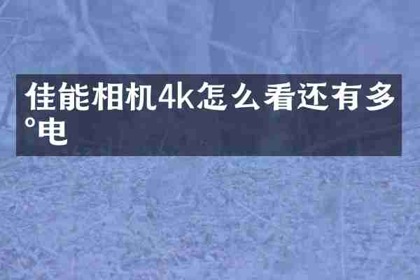 佳能相机4k怎么看还有多少电