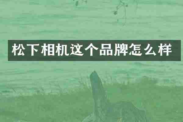松下相机这个品牌怎么样