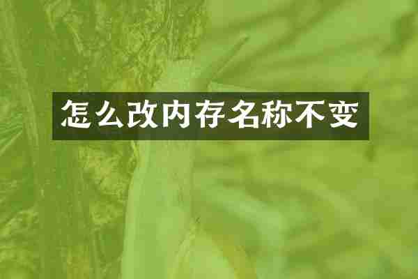 怎么改内存名称不变