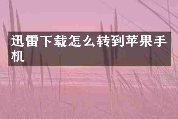 迅雷下载怎么转到苹果手机