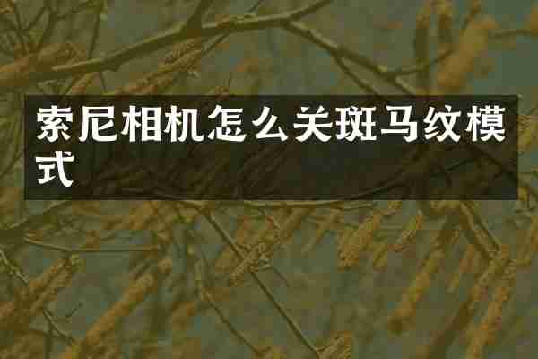 索尼相机怎么关斑马纹模式