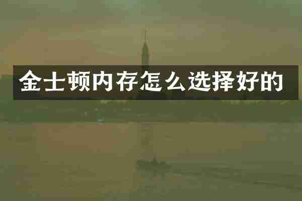 金士顿内存怎么选择好的