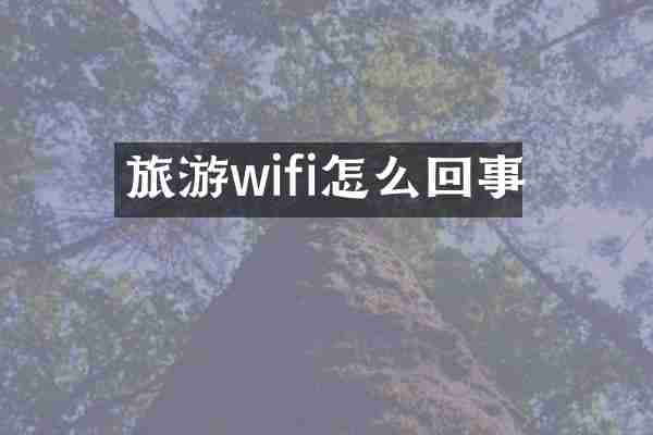 旅游wifi怎么回事