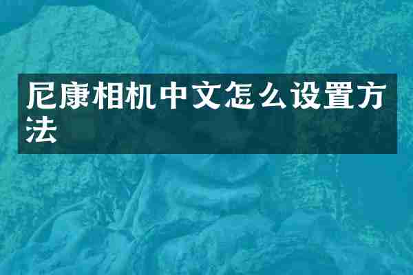 尼康相机中文怎么设置方法