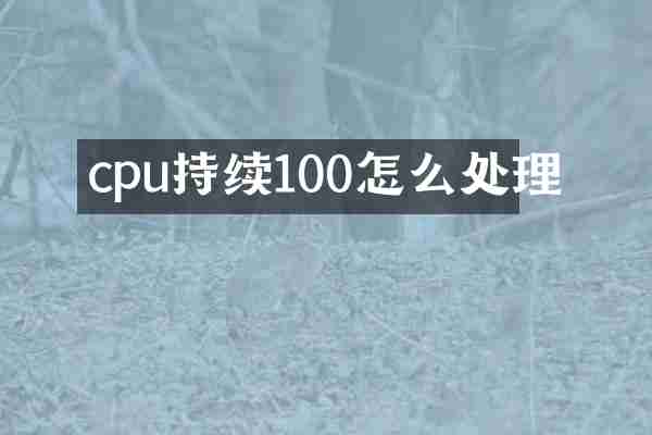 cpu持续100怎么处理