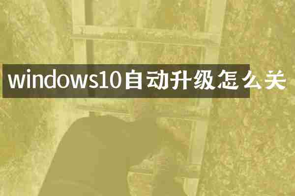 windows10自动升级怎么关