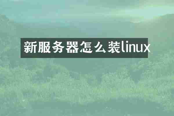 新服务器怎么装linux