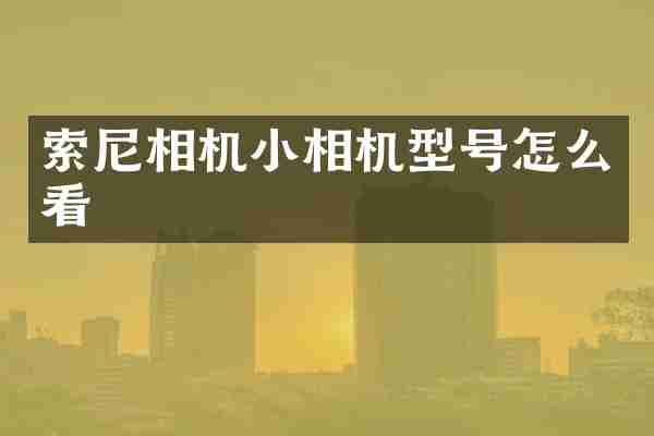 索尼相机小相机型号怎么看