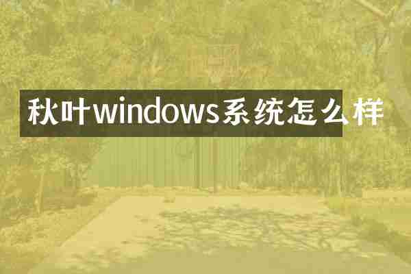 秋叶windows系统怎么样