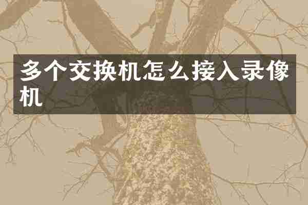 多个交换机怎么接入录像机