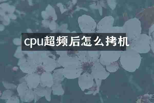 cpu超频后怎么拷机