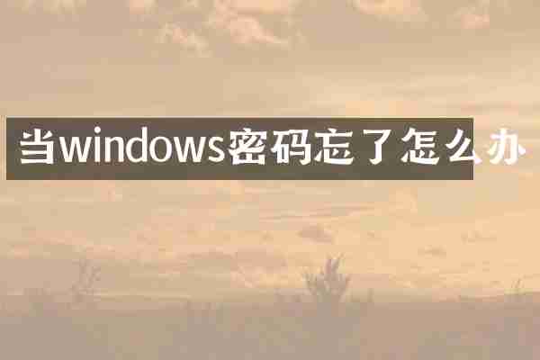 当windows密码忘了怎么办
