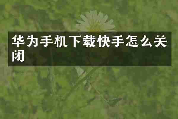 华为手机下载快手怎么关闭