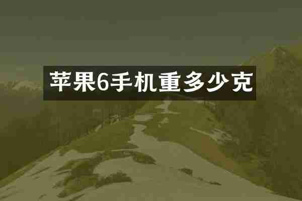 苹果6手机重多少克