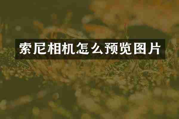 索尼相机怎么预览图片