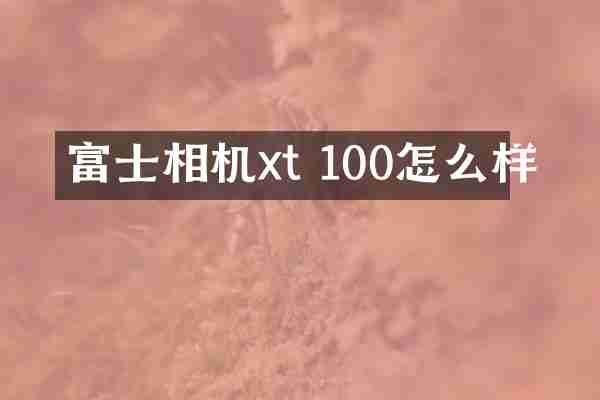 富士相机xt 100怎么样