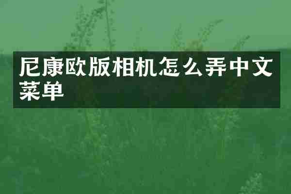 尼康欧版相机怎么弄中文菜单