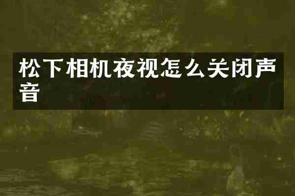 松下相机夜视怎么关闭声音
