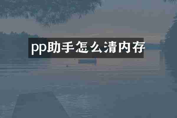 pp助手怎么清内存