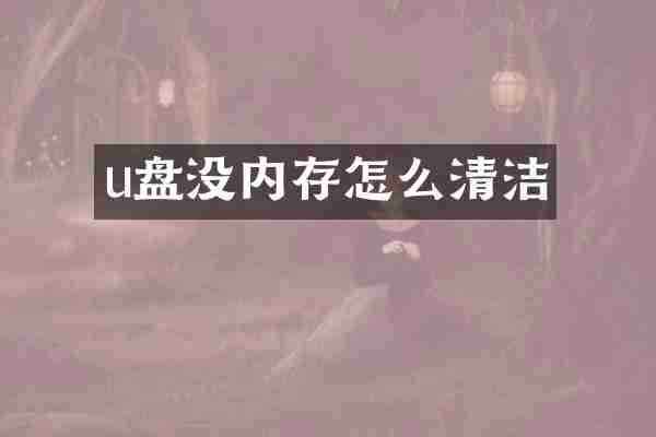 u盘没内存怎么清洁