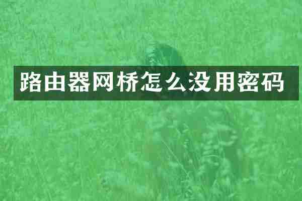 路由器网桥怎么没用密码