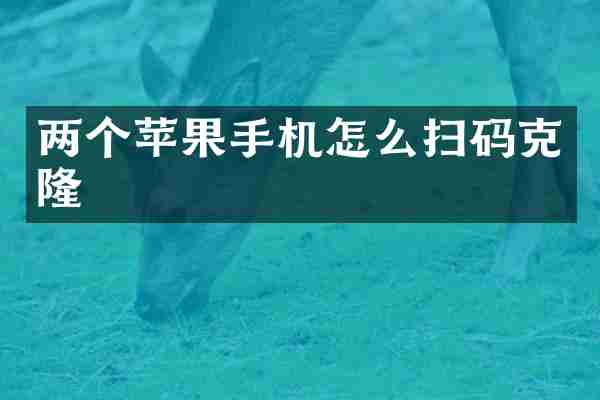两个苹果手机怎么扫码克隆