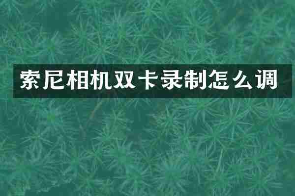 索尼相机双卡录制怎么调