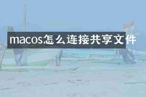 macos怎么连接共享文件