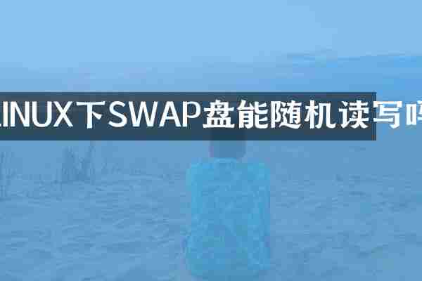 LINUX下SWAP盘能随机读写吗