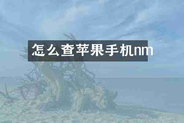 怎么查苹果手机nm