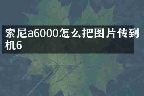 索尼a6000怎么把图片传到相机6