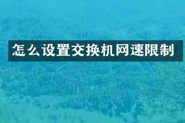怎么设置交换机网速限制