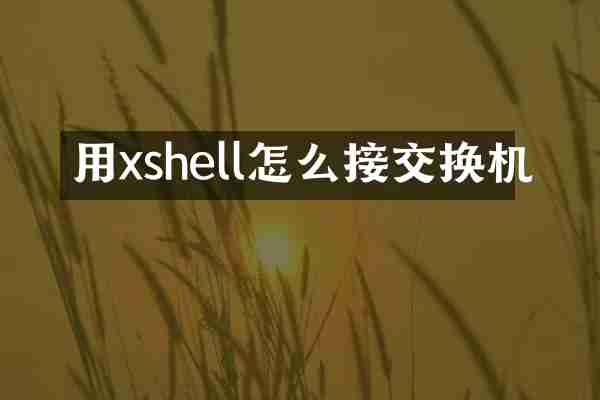 用xshell怎么接交换机