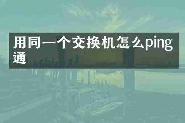 用同一个交换机怎么ping不通