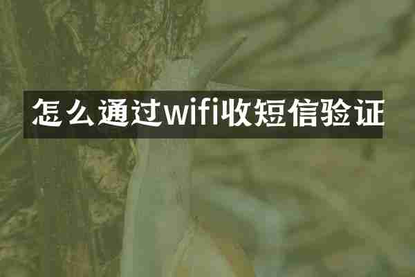 怎么通过wifi收短信验证