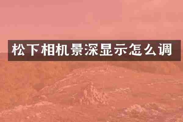 松下相机景深显示怎么调