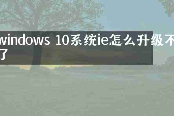 windows 10系统ie怎么升级不了