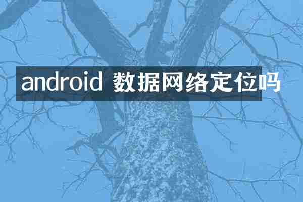 android 数据网络定位吗