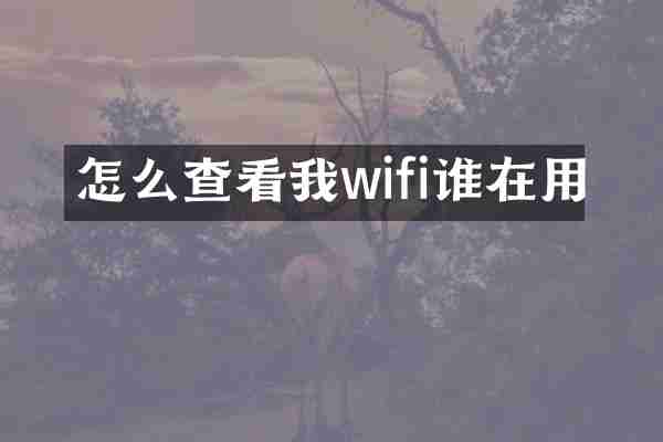 怎么查看我wifi谁在用