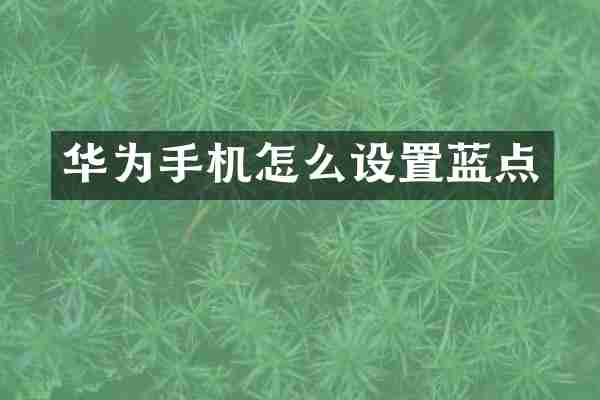 华为手机怎么设置蓝点