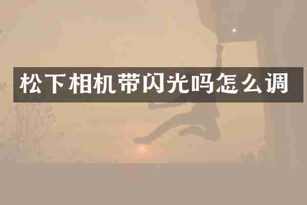 松下相机带闪光吗怎么调