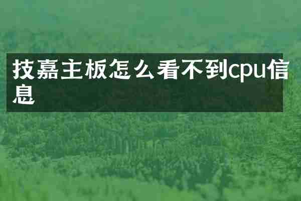 技嘉主板怎么看不到cpu信息