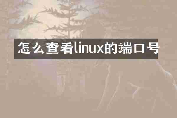 怎么查看linux的端口号