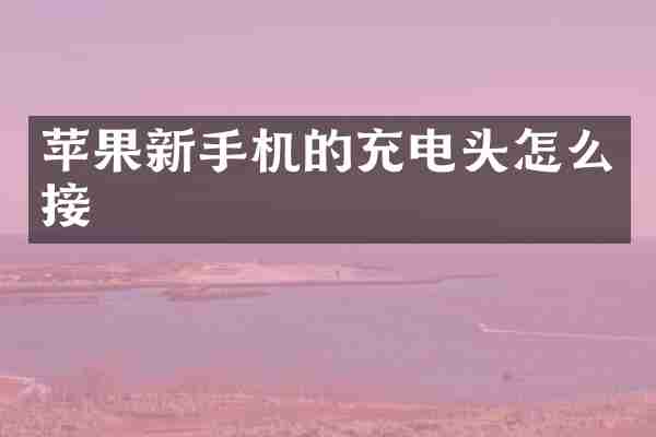 苹果新手机的充电头怎么接