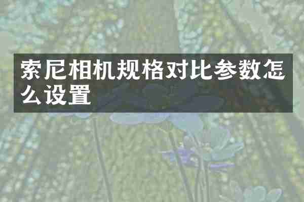 索尼相机规格对比参数怎么设置